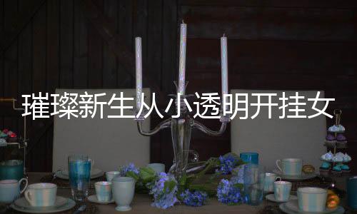 璀璨新生从小透明开挂女神作家