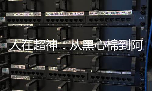 《港夏烈吻》全文在线阅读