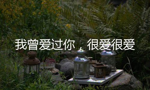 《京娇盛宠》全文在线阅读