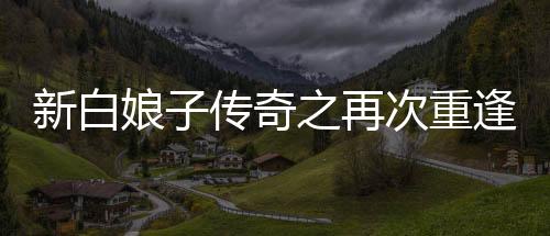 《穿书年代小可怜，奋斗逆袭不炮灰》全文在线阅读