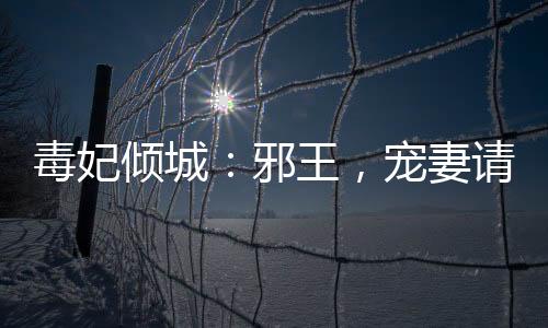《许你万丈光芒好》全文在线阅读