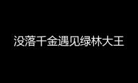 没落千金遇见绿林
