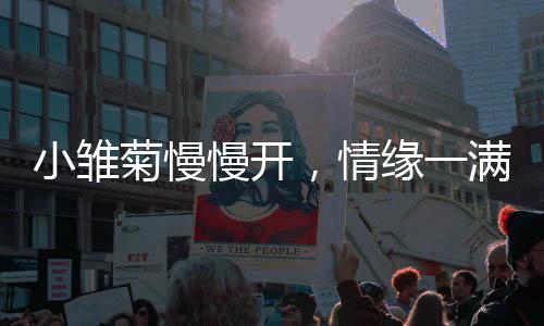 《致命偏宠》全文在线阅读