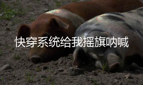 《黄泉快递：亲，记得五星好评哟》全文在线阅读