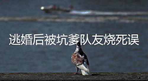 《穿书年代小可怜，奋斗逆袭不炮灰》全文在线阅读