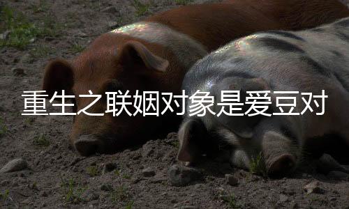 重生之联姻对象是爱豆对家
