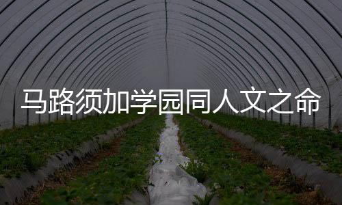 《恰似寒光遇骄阳》全文在线阅读