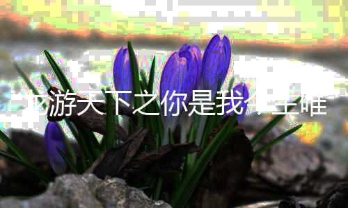 龙游天下之你是我今生唯一的爱